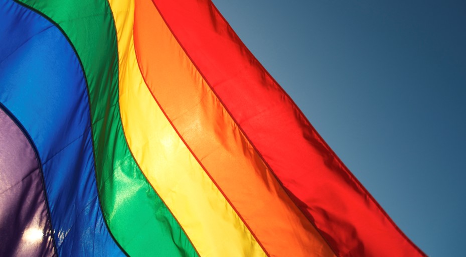 Close-up of rainbow flag in sunshine